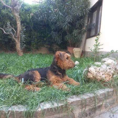 度假居 Villa Indipendente Con Giardino *